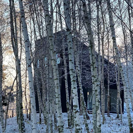 Drewniany Dom W Brzozowisku Pieszyce