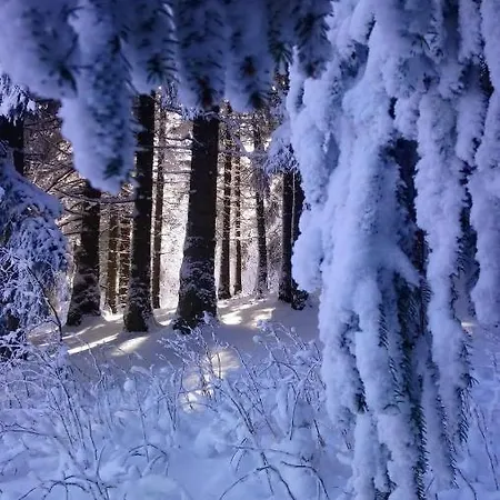 Alpehytte Drewniany Dom W Brzozowisku