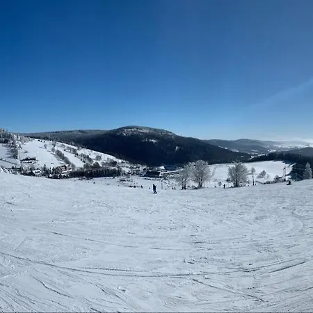 Drewniany Dom W Brzozowisku