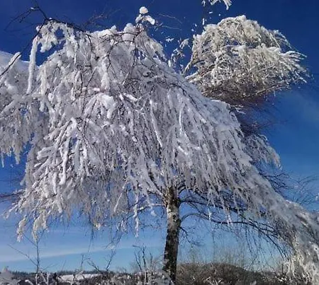 Alpehytte Drewniany Dom W Brzozowisku *