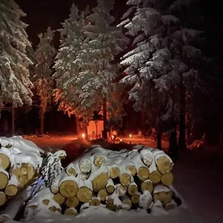 Drewniany Dom W Brzozowisku Σαλέ Pieszyce