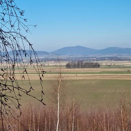 Alpehytte Drewniany Dom W Brzozowisku *