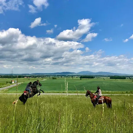 Drewniany Dom W Brzozowisku Pieszyce