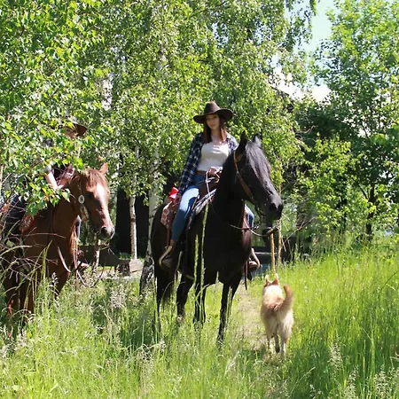 Drewniany Dom W Brzozowisku Σαλέ