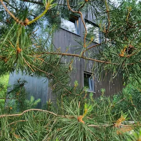 Drewniany Dom W Brzozowisku Alpehytte Pieszyce