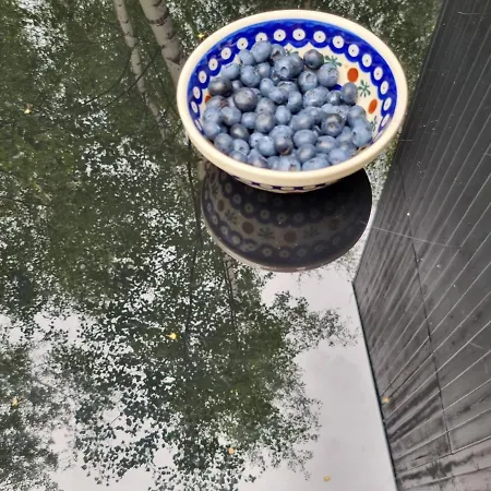 Σαλέ Drewniany Dom W Brzozowisku *