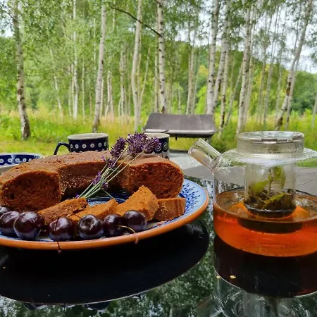 Drewniany Dom W Brzozowisku Alpehytte *