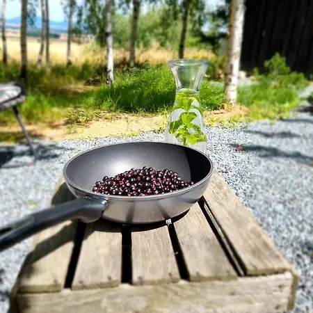 Drewniany Dom W Brzozowisku Pieszyce