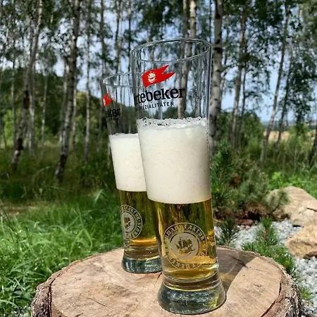 Drewniany Dom W Brzozowisku Chalet Pieszyce