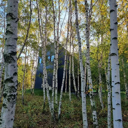 Drewniany Dom W Brzozowisku Pieszyce