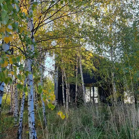 Drewniany Dom W Brzozowisku Chalet