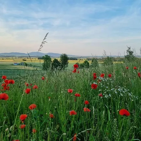 Drewniany Dom W Brzozowisku *