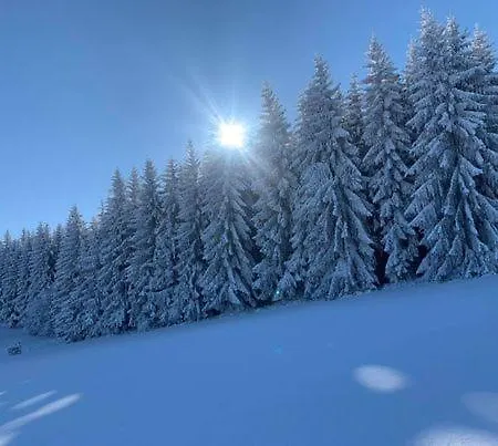 Drewniany Dom W Brzozowisku Chalet