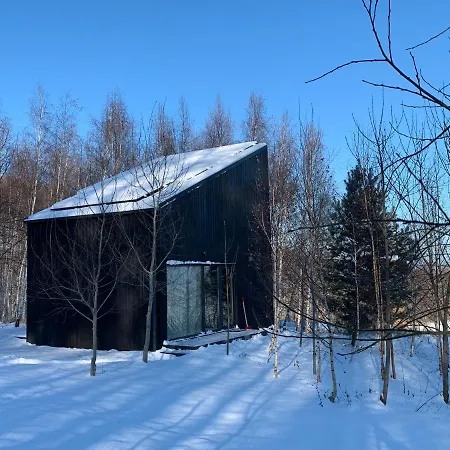 Drewniany Dom W Brzozowisku