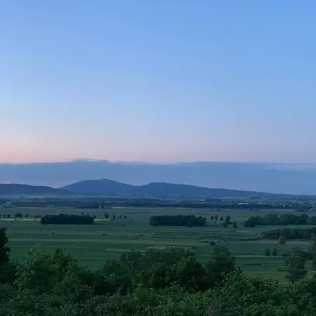 Drewniany Dom W Brzozowisku