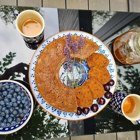 Alpehytte Drewniany Dom W Brzozowisku