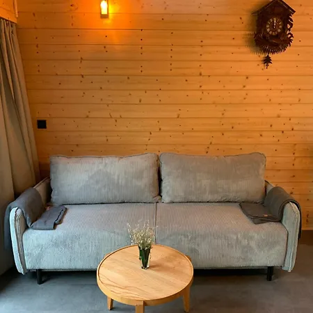 Σαλέ Drewniany Dom W Brzozowisku Pieszyce