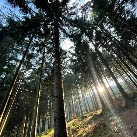 Drewniany Dom W Brzozowisku *