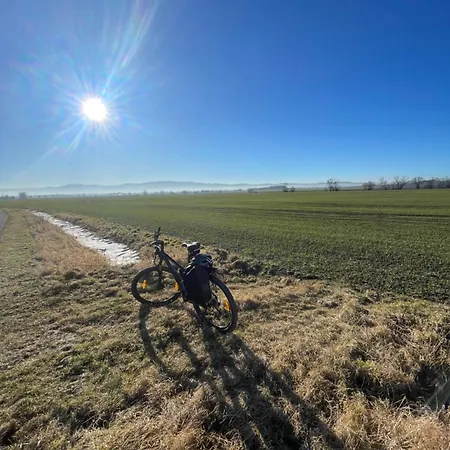 Drewniany Dom W Brzozowisku Pieszyce