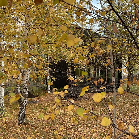 Chalet Drewniany Dom W Brzozowisku