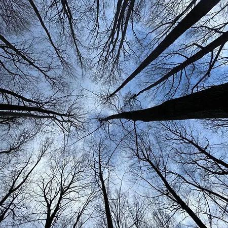 Drewniany Dom W Brzozowisku Σαλέ *