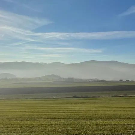 Drewniany Dom W Brzozowisku * Pieszyce