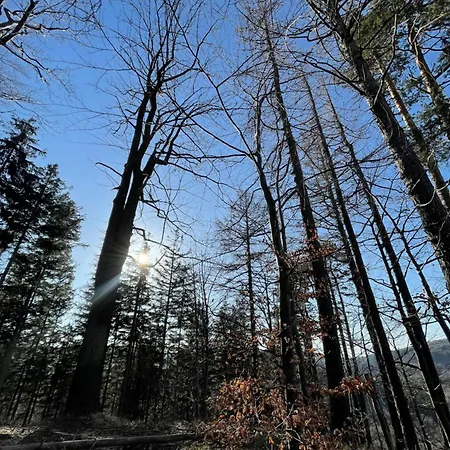 Drewniany Dom W Brzozowisku Chalet Pieszyce