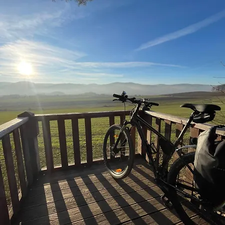 Drewniany Dom W Brzozowisku