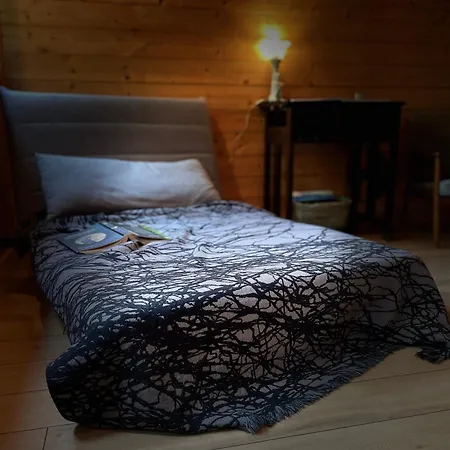 Drewniany Dom W Brzozowisku * Pieszyce