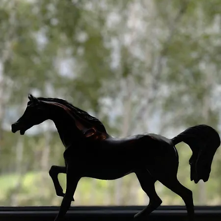 Drewniany Dom W Brzozowisku Alpehytte