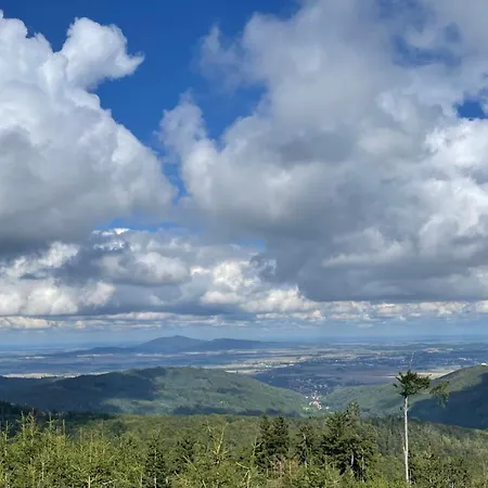 Drewniany Dom W Brzozowisku Alpehytte Pieszyce