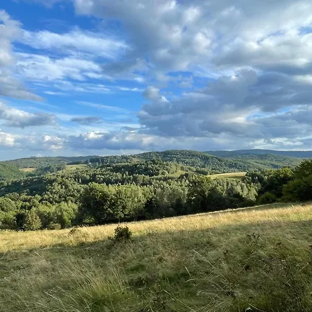 Alpehytte Drewniany Dom W Brzozowisku *