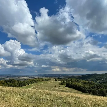 Drewniany Dom W Brzozowisku