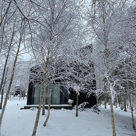 Σαλέ Drewniany Dom W Brzozowisku