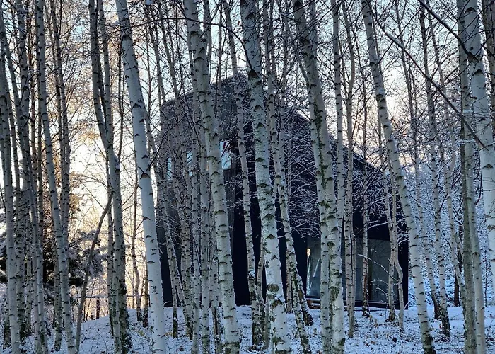 Drewniany Dom W Brzozowisku 피에르지체