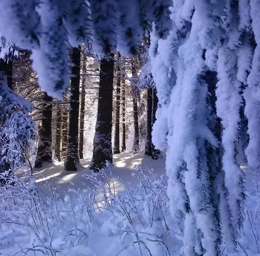 Chalet Drewniany Dom W Brzozowisku