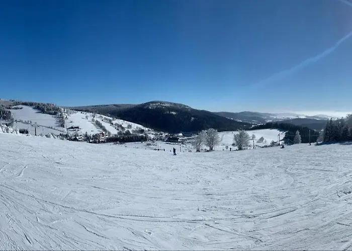 Drewniany Dom W Brzozowisku