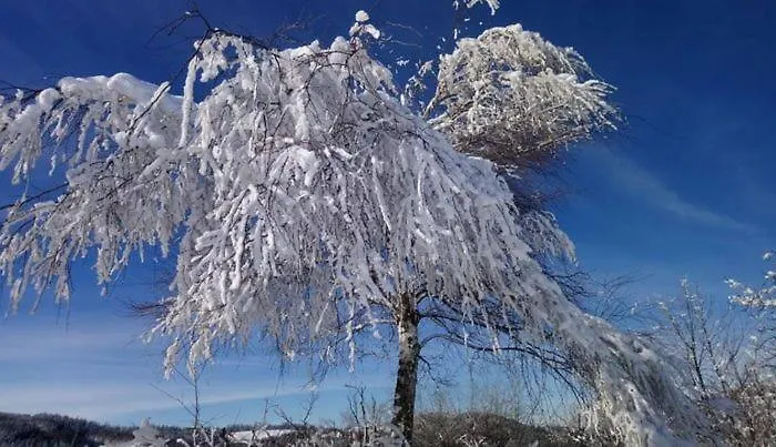 샬레 Drewniany Dom W Brzozowisku *