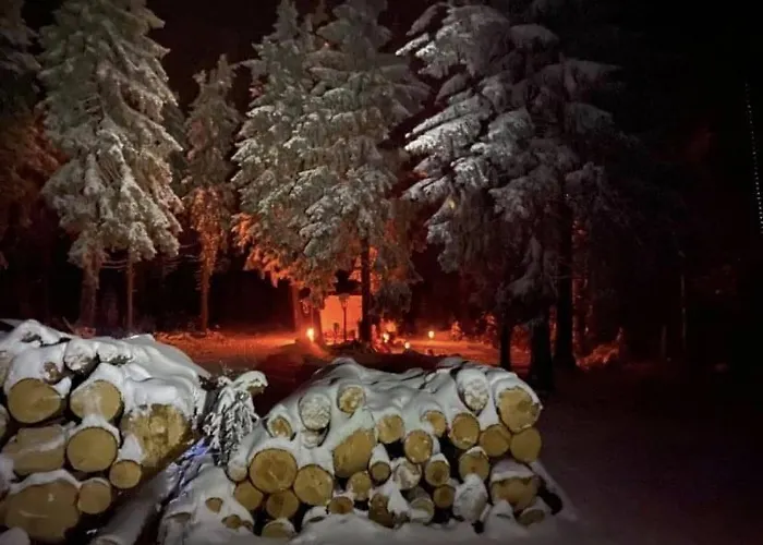 Drewniany Dom W Brzozowisku Chalet Peterswaldau