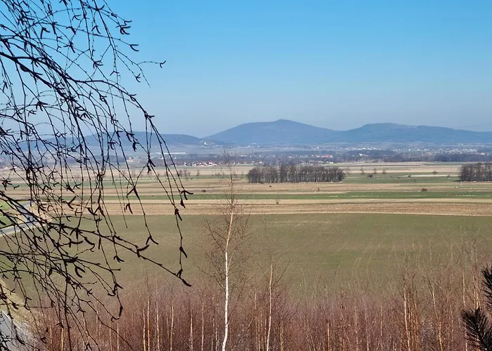 샬레 Drewniany Dom W Brzozowisku *