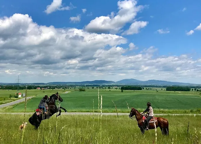 Drewniany Dom W Brzozowisku Peterswaldau