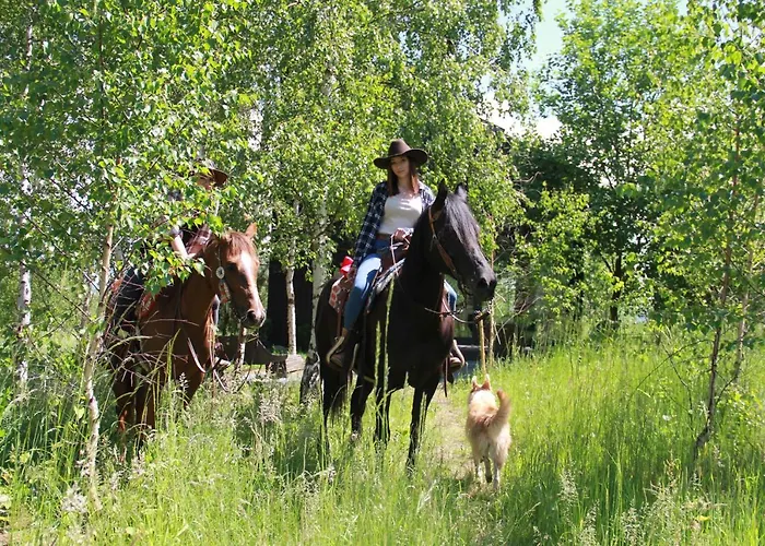 Drewniany Dom W Brzozowisku 샬레