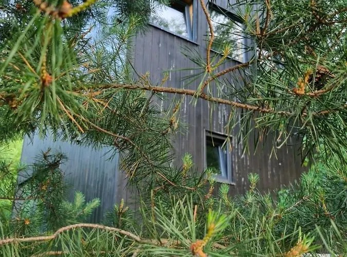 Drewniany Dom W Brzozowisku Chalet Pieszyce