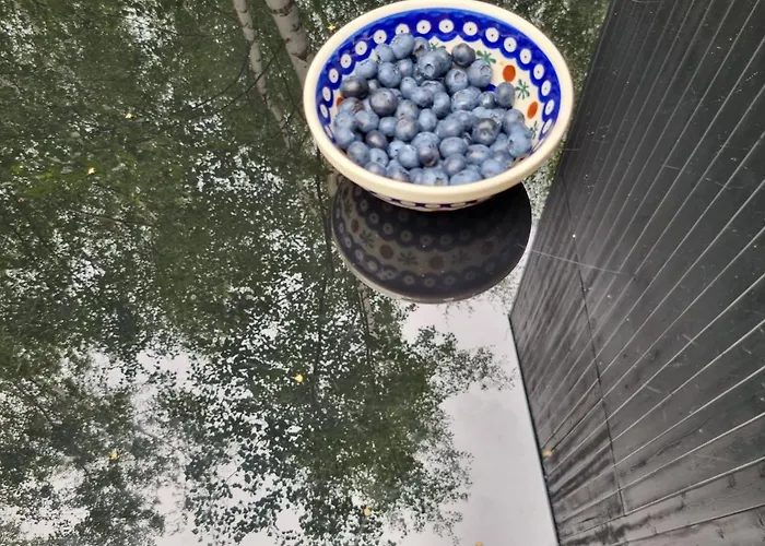 샬레 Drewniany Dom W Brzozowisku *