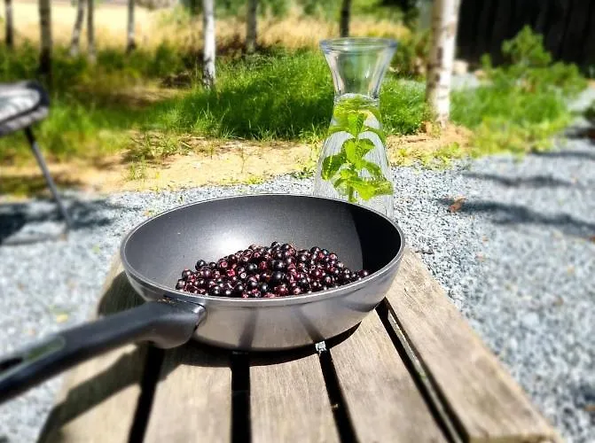 Drewniany Dom W Brzozowisku 피에르지체