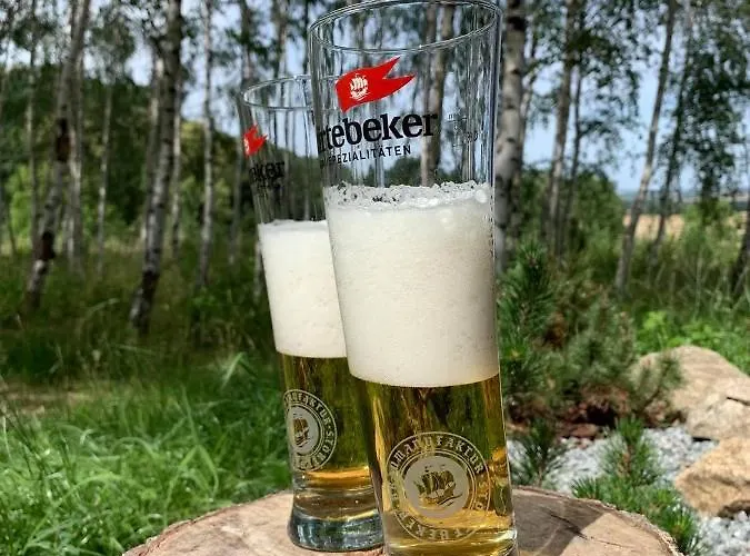 Drewniany Dom W Brzozowisku Chalet Pieszyce