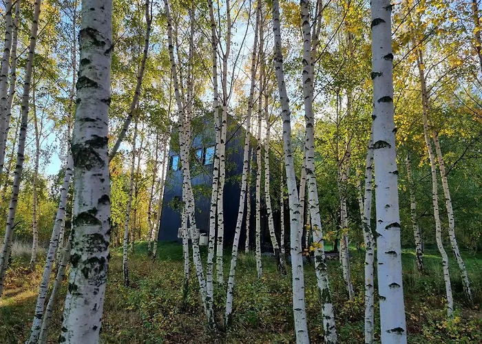 Drewniany Dom W Brzozowisku 피에르지체