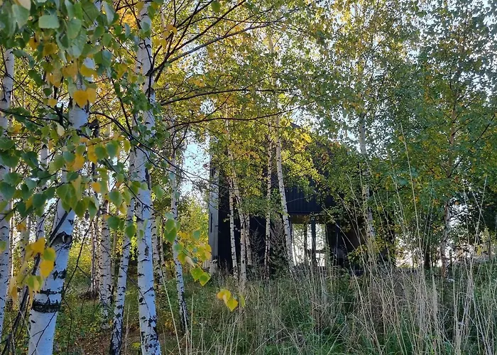 Drewniany Dom W Brzozowisku Chalet