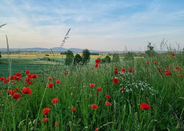 Drewniany Dom W Brzozowisku *