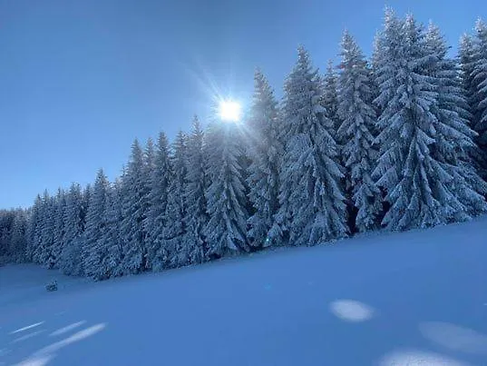 Drewniany Dom W Brzozowisku Chalet